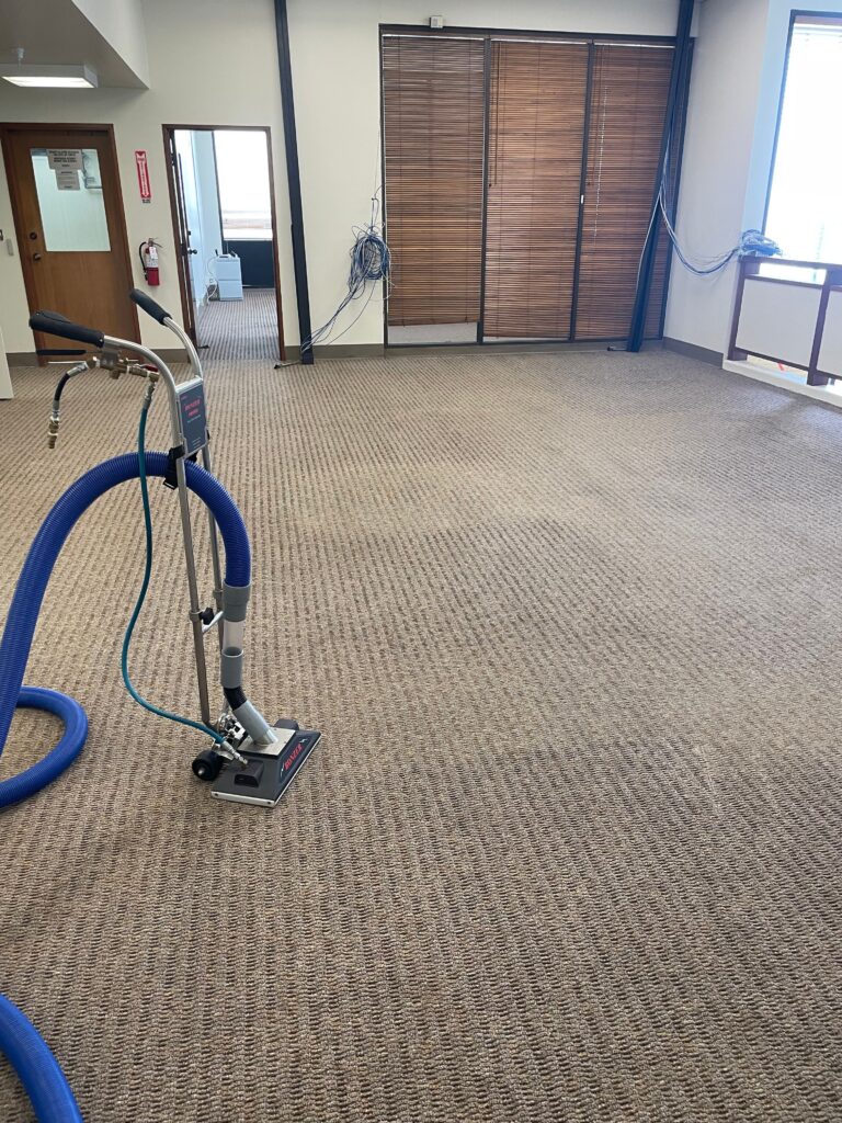 After Carpet Cleaning: Fresh and Clean Carpets