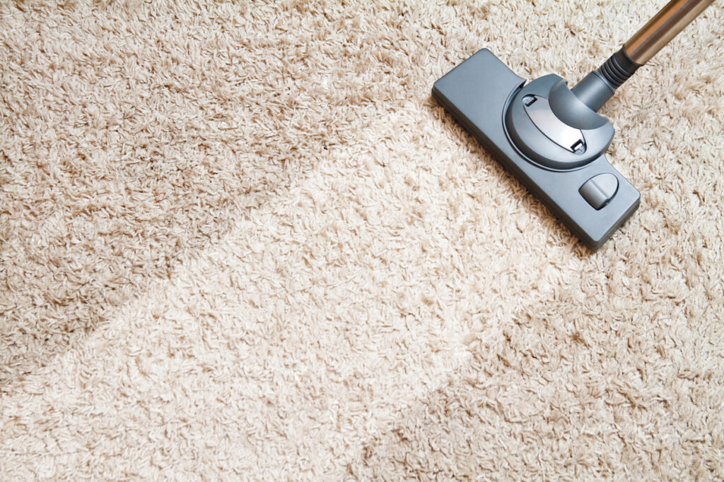 Professional Carpet Cleaning in Action