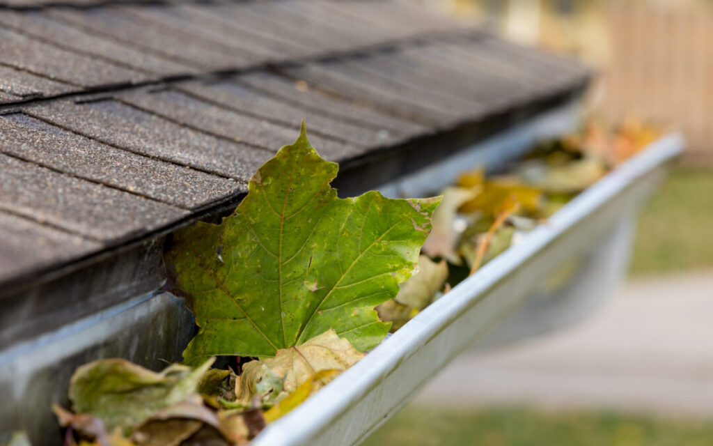Clogged gutter filled with leaves and debris.