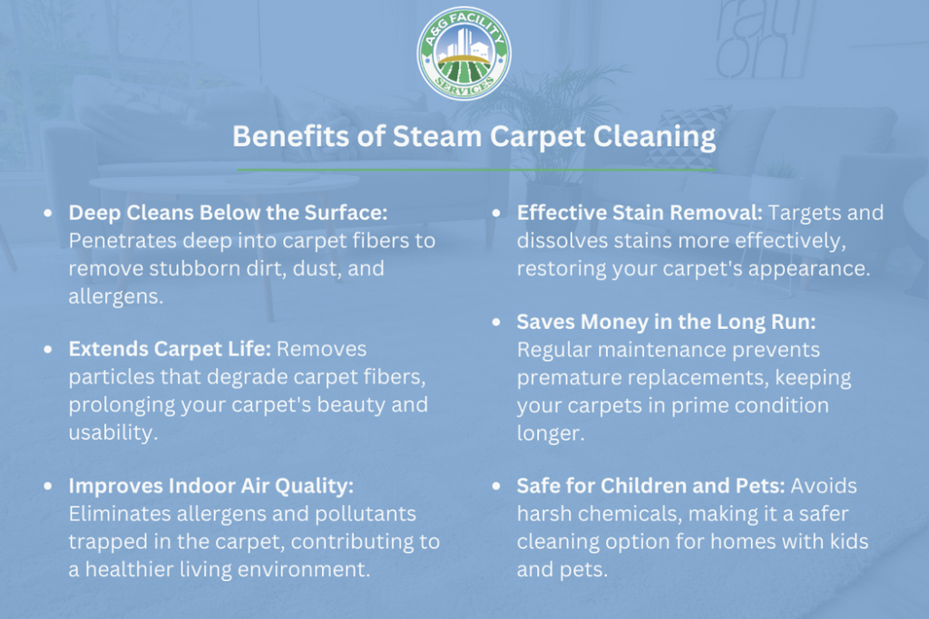 Infographic illustrating the benefits of steam carpet cleaning.